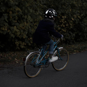 Stickers réflechissants pour vélo et accessoires "Dinosaurus" Rainette