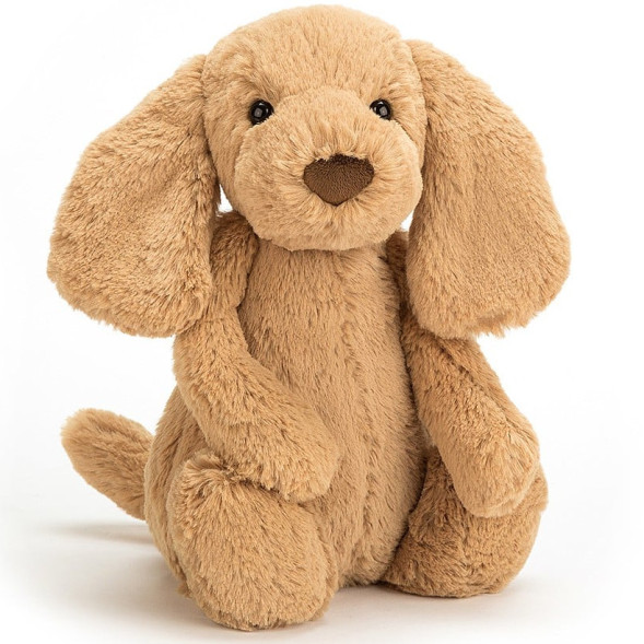 Peluche chiot Bashful Puppy Toffee (18 cm) Jellycat
