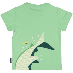 T-shirt bébé manches courtes en coton bio "Mibo Requin Marteau" Coq en Pâte