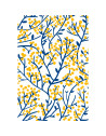 Carte Postale FLEURS "Bleu Mimosa" Mapa-chali