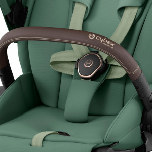  Poussette Cybex Priam chassis Rosegold "Leaf Green" (2023)