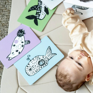 Cartes bébé contrastées Flash Cards "Océan"