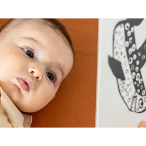Cartes bébé noir & blanc Flash Cards "Safari" Mini Coco