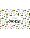Carte Postale MESSAGE SURPRISE "Rose"