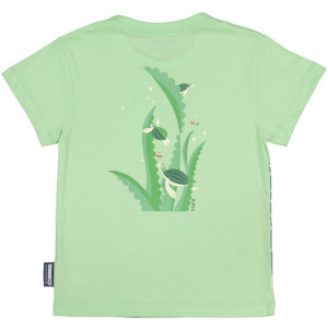 T-shirt manches courtes en coton bio "Mibo Tortue" Coq en Pâte