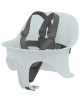 Harnais pour chaise Lemo
