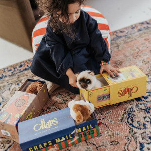 Peluche Stacy le Labdradoodle en boîte cadeau (17 cm) BT Chaps