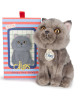 Peluche Freddy le British Shorthair en boîte cadeau (17 cm)