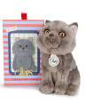 Peluche Freddy le British Shorthair en boîte cadeau (17 cm)