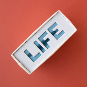 Puzzle enfant 200 pièces "Life" (7 ans et +) Londji