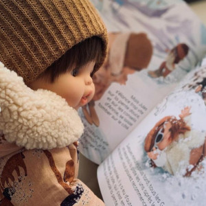 Livre La Vie des Gordis "Jules fait de la luge" MInikane