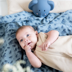 1 maxi-lange en mousseline de coton bio "Enchanting Elephant" (110x110 cm) Trixie