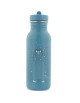 Gourde en inox (500 ml) "Mr Triceratops"