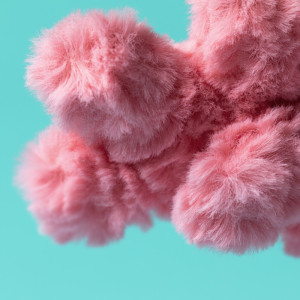 Peluche Amuseables "Coral" (16 cm) Jellycat
