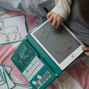 Tablette à dessin lumineuse KIDYDRAW-MINI "Animaux atuour du Monde" KIDYWOLF