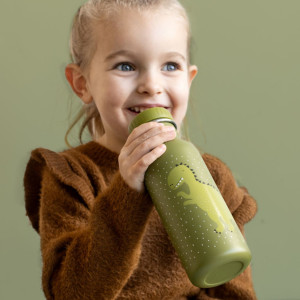 Gourde enfant en inox (500 ml) "Mr Dino" Trixie 