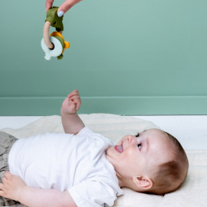 Hochet en bois et silicone "Mr Dino" Trixie