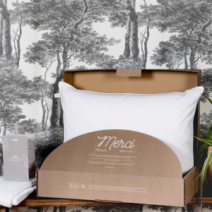 Oreiller rectangulaire 50*70 Lanai Duvet & Plumes Kadolis