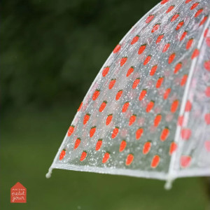 Parapluie enfant "Les Fraises"