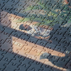 Puzzle 1000 pièces "Reunion" (12 ans et +) Londji