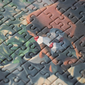 Puzzle 1000 pièces "Reunion" (12 ans et +) Londji