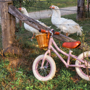 Draisienne en acier First Go (2,5-5 ans) "Rose Poudré" Banwood