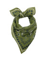 Foulard en coton Oscar "Bandana Kaki" (Petit)