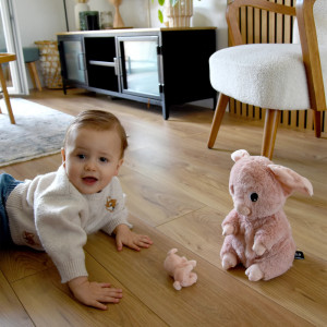 Peluche Ptipotos Cochon + Bébé "Rose" Déglingos