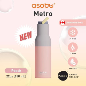 Gourde en inox isotherme (600 ml) "Metro Pastel Peach" Asobu