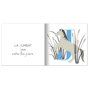 Livre "Alphabet des plantes et des animaux" d'Émilie Vast (2-6 ans) Memo