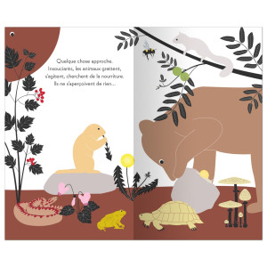 Livre enfant "Engloutis" d'Émilie Vast (2-6 ans) Memo