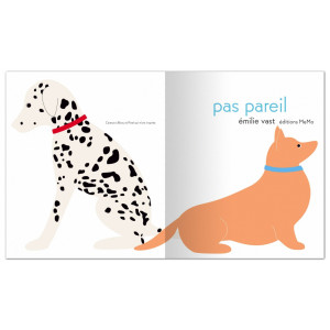 Livre enfant "Pas pareil" d'Émilie Vast (2-6 ans) Memo