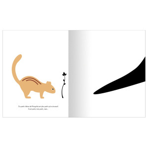 Livre enfant "Quelque chose de merveilleux" d'Émilie Vast et Shin Sun-Jae Memo