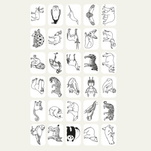 Recharge de dessins pour KIDYDRAW-MINI "Océans & Pirates" et "Animaux" KIDYWOLF