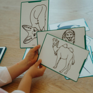 Recharge de dessins pour KIDYDRAW-MINI "Océans & Pirates" et "Animaux" KIDYWOLF