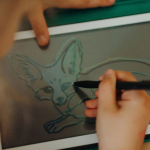 Recharge de dessins pour KIDYDRAW-MINI "Océans & Pirates" et "Animaux" KIDYWOLF