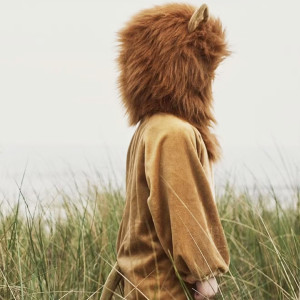 Déguisement enfant "Lion" (6 ans) Souza