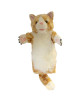 Marionnette à bras "Chat Ginger" (1 an et +)