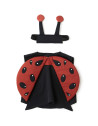 Déguisement enfant en coton bio "Coccinelle" (3-7 ans)