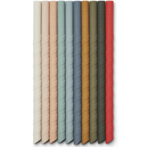 Pailles en silicone Timoti "Multi Mix" (x10) avec goupillon de nettoyage