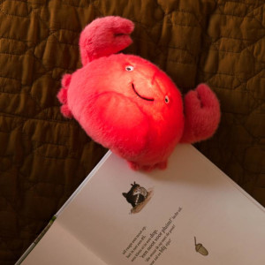 Veilleuse LED en peluche "Théo le Crabe" (18 cm) Atelier Pierre