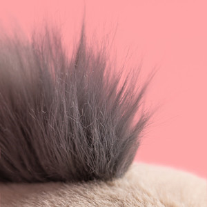 Peluche Roarwell l'Otarie (30 cm) Jellycat