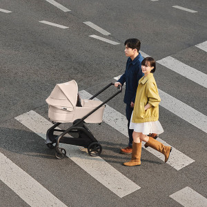 Nacelle complète Bugaboo Dragonfly "Desert Taupe"