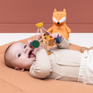 Balle d'activité en bois "Animaux"  (10 mois et +) Trixie