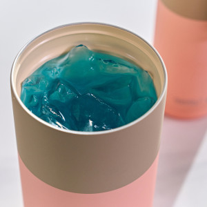 Gourde isotherme (650 ml) "Orbit Pastel Peach" Asobu