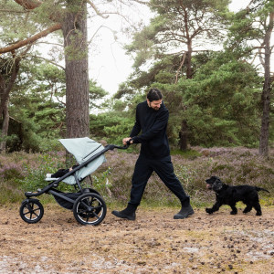 Poussette 3 roues tout terrain Thule Urban Glide 3 "Tinted Taupe"