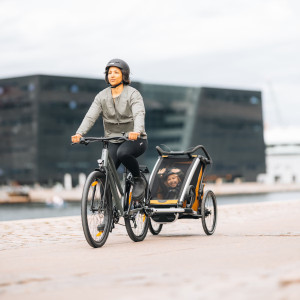 Chariot Thule Sport G3 2 places "Natural Gold" (Remorque-vélo, Poussette & Jogger)