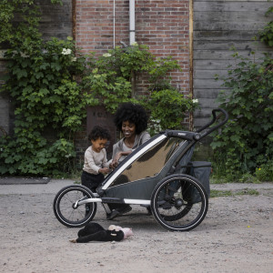 Chariot Cross 1 place G3 "Dark Slate" (Remorque-vélo, Poussette & Jogger) (2024) Thule