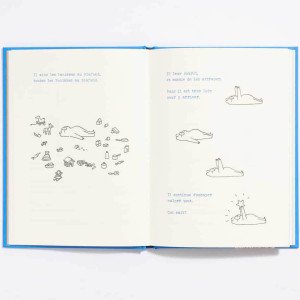 Livre enfant "Le nouvel arrivant" (4 ans et +) Marcel et Joachim