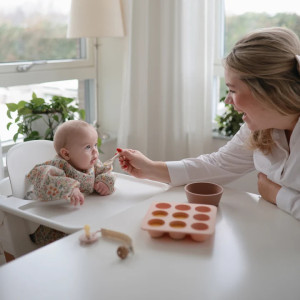 Bac à congélation bébé "Rose Blush" Mushie